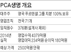 [마켓인사이트] 새 주인 찾는 PCA생명