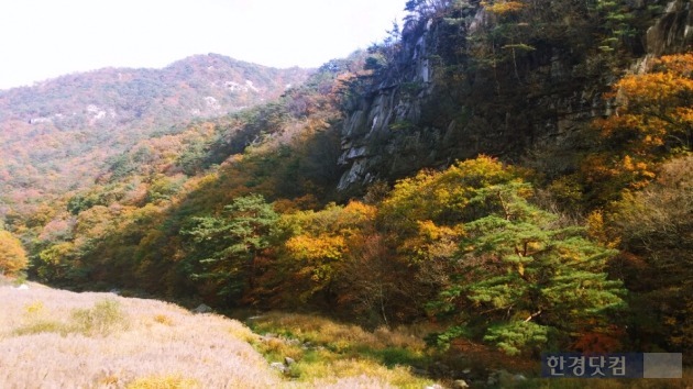 오늘부터 평년 기온 회복 /한경DB