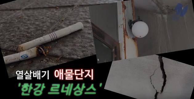 영상 촬영 및 편집= 신세원 기자 