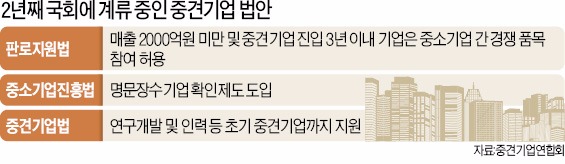 "중소기업 벗어나자 규제 100개…목이 멘다"