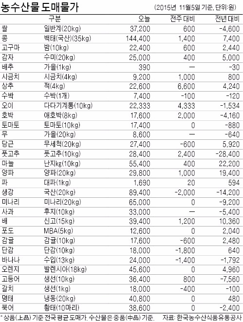 "김치 안먹어요"…김장채소 가격 하락