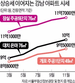 ['숨고르기' 들어간 주택시장] 강남 3구 재건축 시장은 '꿋꿋'