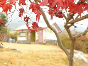  정부 보조금은 낡은 산업을 보호하기 일쑤…자본·노동이 원활하게 이동해야 산업 진화