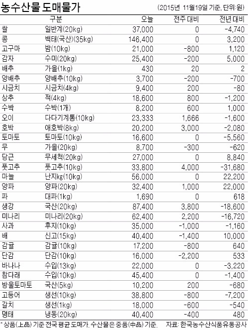 [농수산물 시세] '금값' 양파, kg당 가격 쌀과 맞먹어