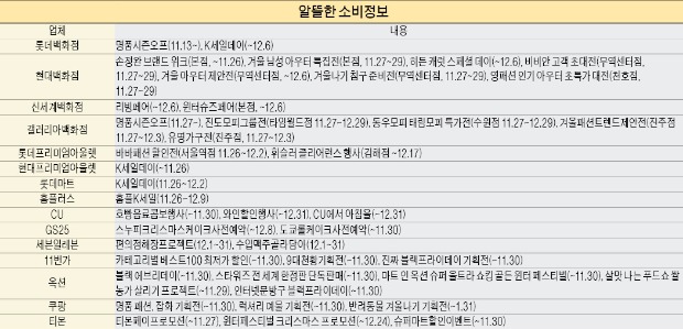 미국 '블프' 겨냥한 K세일데이…내 쇼핑카트엔 뭘 담을까