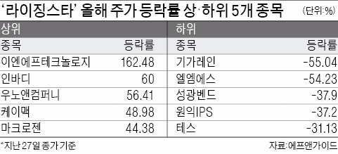 지는 별 된 '라이징스타'