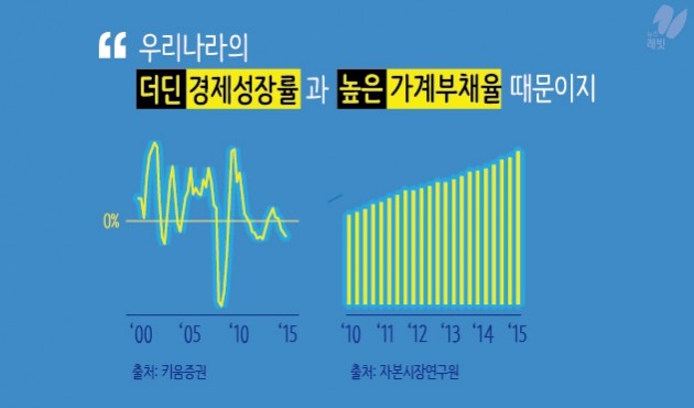 [1기자 1랩] '더 버드 2015' … 매둘기의 역습