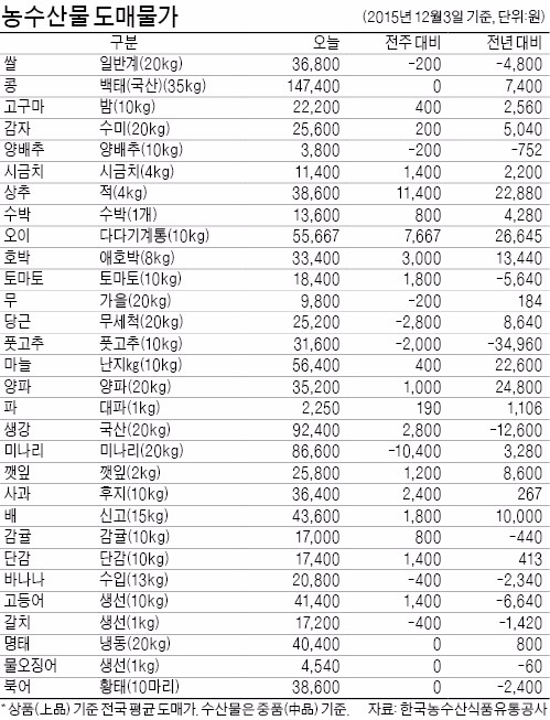 [농수산물 시세] 겨울철 딸기 가격 소폭 올라