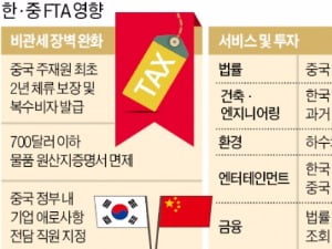  한·중 FTA 비준…수출관세 없애고 중국시장 문턱 낮췄다