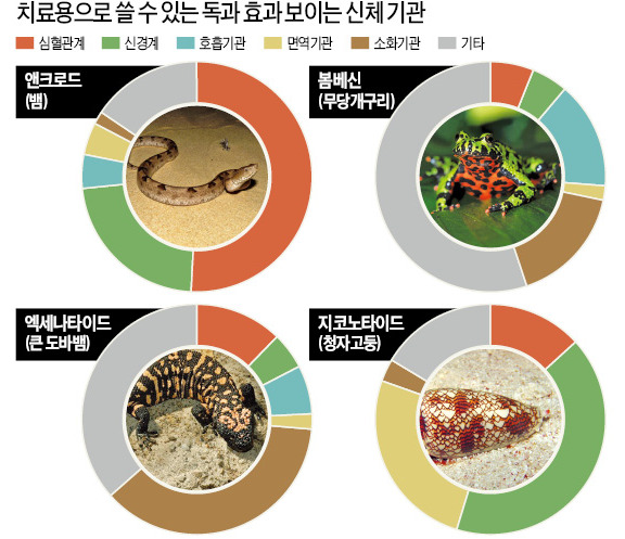 득 되는 독…미국 컬럼비아대, 치료용 독 DB 구축