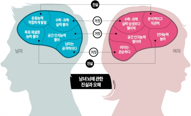 '화성남-금성녀' 차이 뇌구조 때문?…성별보다 교육·환경이 더 큰 영향