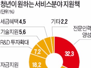  청년 88% '서비스산업법 통과' 원했는데…