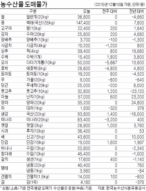 [농수산물 시세] 출하량 늘어난 감귤, 전년대비 가격 25%↓