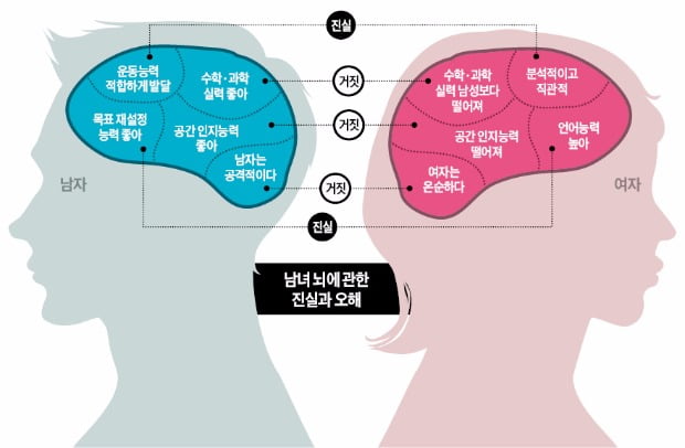 [포커스] '화성남-금성녀' 차이, 뇌구조 때문? 성별보다 교육·환경이 더 큰 영향!