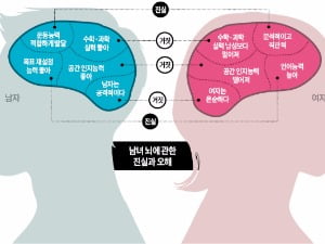  '화성남-금성녀' 차이, 뇌구조 때문? 성별보다 교육·환경이 더 큰 영향!