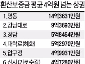  서울 환산보증금 4억 넘으면 임대료 제한없이 인상 가능