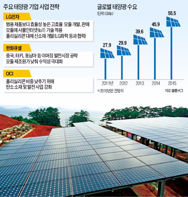 "파리기후협약으로 시장 커진다"…태양광업계 3사 '3색 전략'
