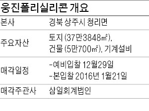 [마켓인사이트] 웅진폴리실리콘, 이번엔 팔릴까