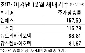 12월 상장 막차 탄 새내기주 강하네