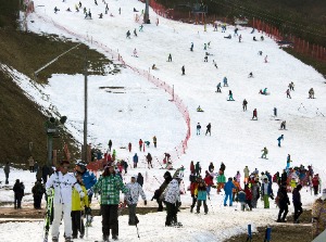 스키장·겨울산 '북적'…포근한 날씨에 얼음축제장 '썰렁'