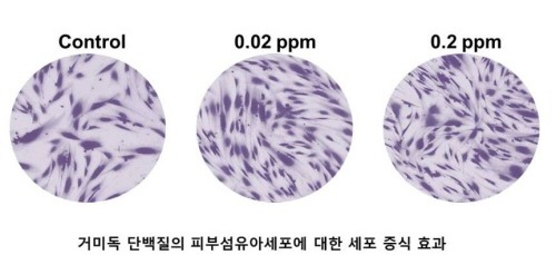 출처: ㈜넥스젠바이오텍