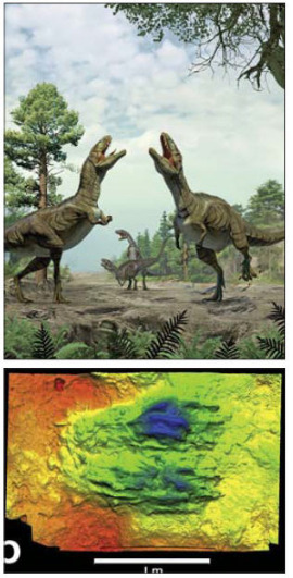 대형 육식공룡 구애 상상도(위)와 연구진이 발견한 흔적화석(아래).