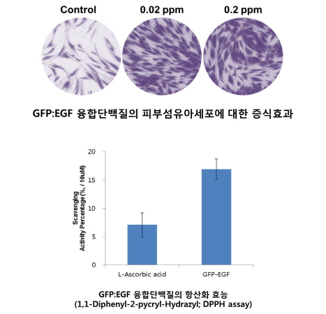 넥스젠바이오텍, 이종 생물간 융합단백질 신소재 '하이브리드 프로테인' 개발