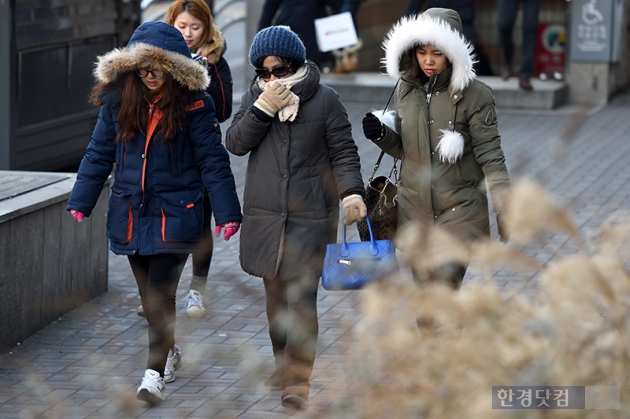 [포토] 너무 추운 날씨…'동장군의 기습'