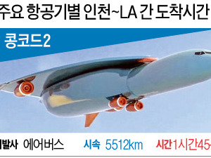 인천서 LA까지 2시간 안에…초음속 항공기 시대 열린다