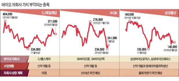 삼성물산-바이오로직스, (주)SK -바이오팜, CJ제일제당-헬스케어…'제약·바이오 자회사' 잘둔 덕에 호강하나