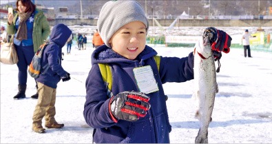 짜릿한 '손맛'…화천 산천어 축제로!