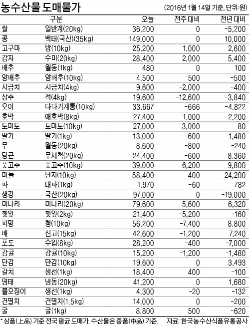 사과값, 작년보다 50% 떨어져