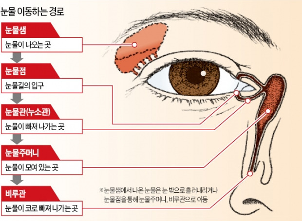 찬바람만 불면 눈물이 '주르륵'…막힌 눈물길 뚫어줘야