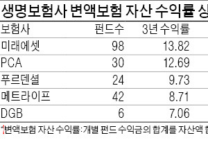 23개 생명보험사 변액보험 자산 수익률 비교…미래에셋 13.8%·푸르덴셜 18%로 가장 높아