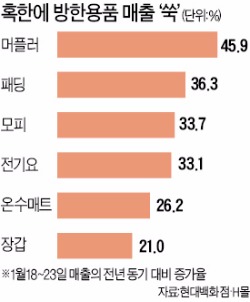 '최강 한파 특수' 유통업계…고가패딩 매출 3배 뛰어