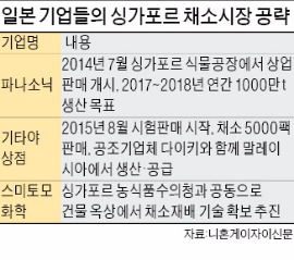 싱가포르 채소시장 공략하는 일본 파나소닉