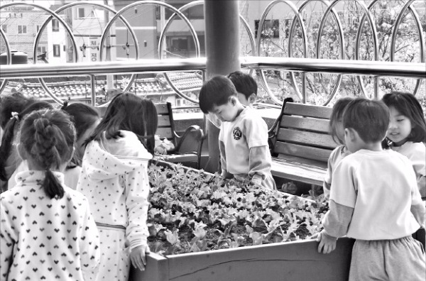 인천 계양도서관 환경사랑학습관을 찾은 어린이들이 생태텃밭에서 환경 교육을 받고 있다. 계양도서관 제공