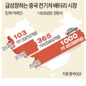 삼성·LG 배터리에는 보조금 안주겠다는 중국