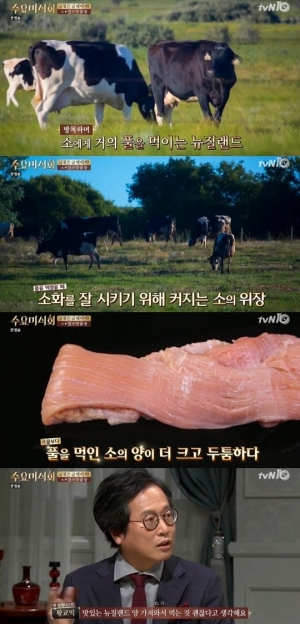 &#39;수요미식회&#39; 황교익, 양구이 &#34;한우보다 뉴질랜드 산이 더 맛 좋다&#34;