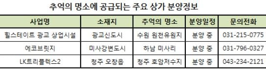 1980~90년대 추억의 MT촌, 어떻게 변했나 구경 갔다가 '깜짝'