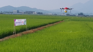 '지카·뎅기열 비상' 싱가포르, 드론으로 모기 잡는다