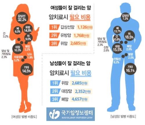 3가지 암보험 필수 사항과 "실시간 보험료 계산" 제공 비교사이트