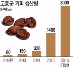 고흥하면 우주센터? 커피마을도 있다