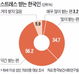 한국 성인 94%가 '스트레스'…고소득·남자일수록 더 높다