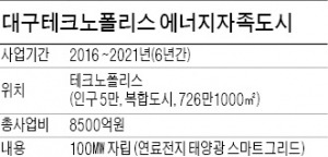 [스마트 행복도시 대구] 대구 '새 먹거리' 청정에너지…4조 클린에너지 발전시설 구축