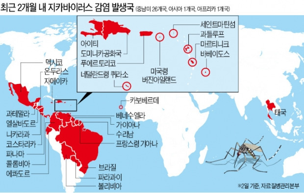 [WHO '지카 세계 비상사태' 선포] 백신 없는 지카 바이러스 급속 확산…한국, 의심사례 7건 접수