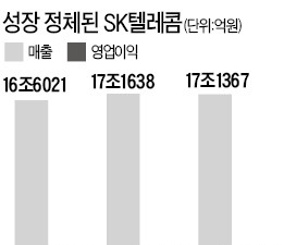 SKT, 작년 매출 첫 감소…'20% 요금할인' 여파