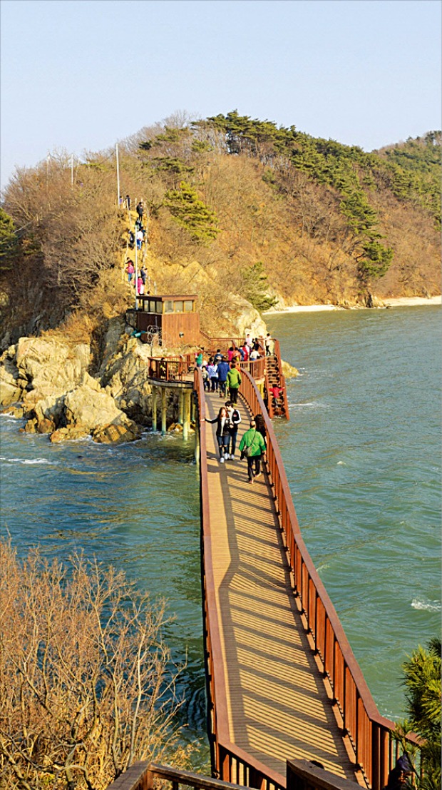 경기 안산 대부 해솔길 