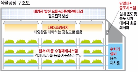 ['식물공장'서 新성장동력 찾는 LG전자] LED 등 첨단기술로 신선한 채소 생산