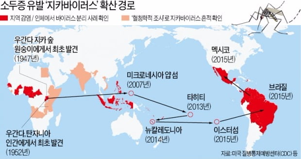 [포커스] 'Zika 바이러스의 공포'…지구촌은 떨고 있다